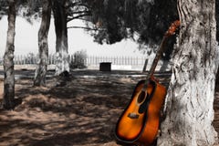 guitare sur un arbre à un parc image libre de droits guitare sur un arbre à un parc image libre de droits