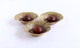 Gulab блюдо Jamun традиционное и популярное индийское сладостное в дружественных к Эко шарах лист Стоковые Фото Gulab блюдо Jamun традиционное и популярное индийское сладостное в дружественных к Эко шарах лист Стоковые Фото