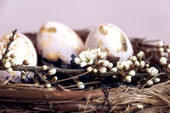 Guld omkullkastade målade easter ägg i ett rede som dekorerades med en filial för körsbärsröd blomning royaltyfria bilder Guld omkullkastade målade easter ägg i ett rede som dekorerades med en filial för körsbärsröd blomning royaltyfria bilder