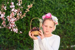 Gullig liten flicka som poserar med ny frukt i den soliga tr?dg?rden Liten flicka med korgen av druvor royaltyfri fotografi Gullig liten flicka som poserar med ny frukt i den soliga tr?dg?rden Liten flicka med korgen av druvor royaltyfri fotografi