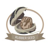 Guma Nasieniodajny logo ilustracja wektor Guma Nasieniodajny logo ilustracja wektor