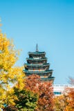 Gyeongbokgung Palace with autumn maple at Seoul, Korea stock photography Gyeongbokgung Palace with autumn maple at Seoul, Korea stock photography