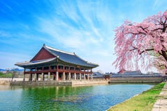 Gyeongbokgung Palace with cherry blossom in spring, Korea. stock photo Gyeongbokgung Palace with cherry blossom in spring, Korea. stock photo