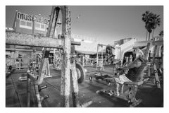 Gymnase original d'or de plage de muscle en plage de Venise california image libre de droits Gymnase original d'or de plage de muscle en plage de Venise california image libre de droits