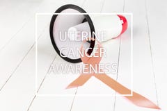 Gynecologic band för cancermedvetenhetpersika royaltyfria foton Gynecologic band för cancermedvetenhetpersika royaltyfria foton