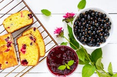 Gâteau savoureux sensible de lait caillé avec le cassis, les baies mûres et la confiture sur un fond en bois blanc Image libre de droits Gâteau savoureux sensible de lait caillé avec le cassis, les baies mûres et la confiture sur un fond en bois blanc Image libre de droits