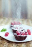 Gâteaux de chocolat délicieux avec la mousse et les framboises de café d'un plat blanc décoré de la menthe photos libres de droits Gâteaux de chocolat délicieux avec la mousse et les framboises de café d'un plat blanc décoré de la menthe photos libres de droits