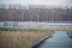 Gå bana för krökt strandpromenad till ett observationsdäck - i nedgången på den Minnesota floden i den Minnesota dalmedborgaren W arkivbilder Gå bana för krökt strandpromenad till ett observationsdäck - i nedgången på den Minnesota floden i den Minnesota dalmedborgaren W arkivbilder