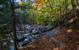 Gå i de New England höstträna och komma till en stillsam inställning av en ström, träd och ljus arkivfoto Gå i de New England höstträna och komma till en stillsam inställning av en ström, träd och ljus arkivfoto