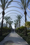 Gå till och med El Umbracle i Valencia royaltyfria foton Gå till och med El Umbracle i Valencia royaltyfria foton