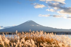 Góra Fuji przy Jeziornym Kawaguchi, Japonia zdjęcia royalty free Góra Fuji przy Jeziornym Kawaguchi, Japonia zdjęcia royalty free