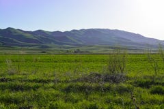 Góry i nawet zieleni pole Góry Kazachstan obrazy stock Góry i nawet zieleni pole Góry Kazachstan obrazy stock