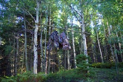 Gör förskjutningsbjörnpåsen som hänger i träd Campa säkerhet arkivbilder Gör förskjutningsbjörnpåsen som hänger i träd Campa säkerhet arkivbilder