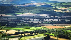 Günstige Ansicht über britische Landschaft am Sommer stock video footage Günstige Ansicht über britische Landschaft am Sommer stock video footage