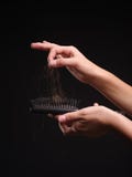 Haarausfall Kamm mit Haarausfall lokalisiert auf schwarzem Hintergrund lizenzfreies stockbild Haarausfall Kamm mit Haarausfall lokalisiert auf schwarzem Hintergrund lizenzfreies stockbild