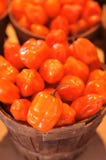 Habanero Stock Images Habanero Stock Images