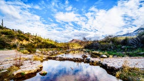 Hacia fuera el cruzar lavado sobre la cala casi seca del sicómoro en la cordillera de McDowell en Arizona septentrional imagenes de archivo Hacia fuera el cruzar lavado sobre la cala casi seca del sicómoro en la cordillera de McDowell en Arizona septentrional imagenes de archivo