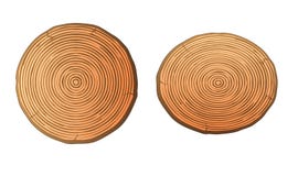 Free Haft Stumps Clean Wood Royalty Free Stock Images - 61128319