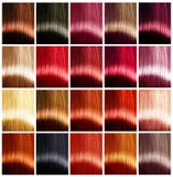 Hair colors palette. Tints Royalty Free Stock Photo Hair colors palette. Tints Royalty Free Stock Photo