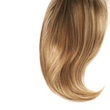 Hair fragment over the white Stock Photography Hair fragment over the white Stock Photography