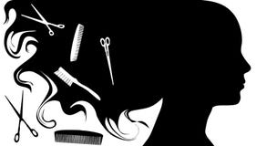 Hair Style Beauty Salon Background A royalty free illustration Hair Style Beauty Salon Background A royalty free illustration