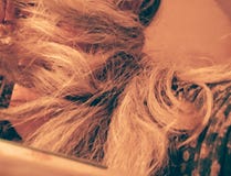 hairball fotografia royalty free hairball fotografia royalty free