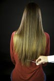 Hairdresser cuts long ruined hair stock photo Hairdresser cuts long ruined hair stock photo