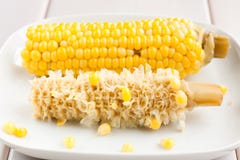 Half-eaten Corn On The Cob Stock Image