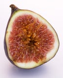 half fig royaltyfria bilder half fig royaltyfria bilder