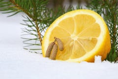 Half Of Lemon And Tiny Cones Stock Images