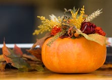 Halloween-Aufbau Halloween-Aufbau