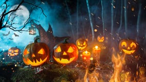 Halloween Pumpkins On Dark Spooky Forest. Royalty Free Stock Photography