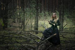 Halloween Schönes Mädchen in einem schwarzen Kleid im Wald lizenzfreie stockfotos Halloween Schönes Mädchen in einem schwarzen Kleid im Wald lizenzfreie stockfotos