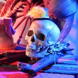 Halloween, Skull Illuminated With Red Light In A Decorative Still Life On Halloween Stock Photos Halloween, Skull Illuminated With Red Light In A Decorative Still Life On Halloween Stock Photos