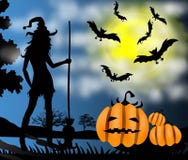Halloween Witch Silhouette With Broom Stock Photography Halloween Witch Silhouette With Broom Stock Photography
