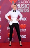 Halsey royalty free stock photo Halsey royalty free stock photo