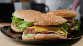 hamburger domowej roboty E obraz royalty free hamburger domowej roboty E obraz royalty free