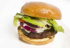 Hamburger gastronomico del formaggio fotografie stock libere da diritti Hamburger gastronomico del formaggio fotografie stock libere da diritti