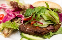Hamburguer delicioso do vegetariano na placa branca imagens de stock Hamburguer delicioso do vegetariano na placa branca imagens de stock