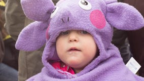 HAMM, DEUTSCHLAND NOVEMBER 2017: Karneval, Rosenmontag der Tag vor dem traditionellen Ende der Karnevalsmeere stockbilder HAMM, DEUTSCHLAND NOVEMBER 2017: Karneval, Rosenmontag der Tag vor dem traditionellen Ende der Karnevalsmeere stockbilder