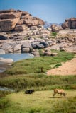 Hampi Landschaft lizenzfreie stockfotos Hampi Landschaft lizenzfreie stockfotos
