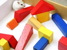 hamster maze pattern hamster maze pattern