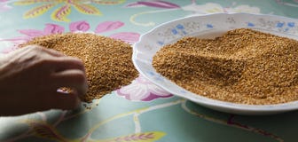 Hand cleaning sesame seeds on a table stock image Hand cleaning sesame seeds on a table stock image