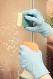 Hand der älteren Frau, die Schwamm mit Reinigungsmittel für waschende und Reinigungsglasdusche verwendet lizenzfreie stockbilder Hand der älteren Frau, die Schwamm mit Reinigungsmittel für waschende und Reinigungsglasdusche verwendet lizenzfreie stockbilder