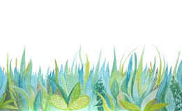 Hand dragen botanisk illustration f?r vattenf?rg Blått och grönt gräs stock illustrationer Hand dragen botanisk illustration f?r vattenf?rg Blått och grönt gräs stock illustrationer