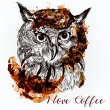 Hand dragen vektoruggla Kaffeillustration med en fågel stock illustrationer Hand dragen vektoruggla Kaffeillustration med en fågel stock illustrationer