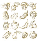 Hand Draw Fruit And Vegetable Royalty Free Stock Photo Hand Draw Fruit And Vegetable Royalty Free Stock Photo