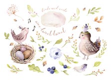 Hand drawing easter watercolor flying cartoon bird and eggs with leaves, branches and feathers. Watercolour spring art royalty free illustration Hand drawing easter watercolor flying cartoon bird and eggs with leaves, branches and feathers. Watercolour spring art royalty free illustration