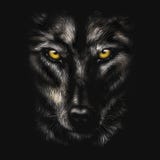 Hand-drawing portrait of a black wolf