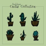 Hand drawn cactus collection in green background stock illustration Hand drawn cactus collection in green background stock illustration